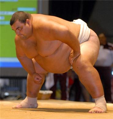 ready_position_sumo_wrestler.jpg