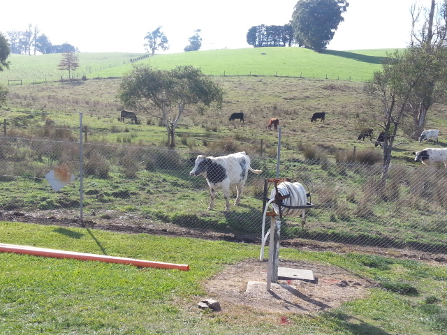 20130528_130831.jpg